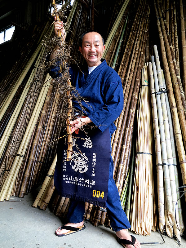 竹の根っ子 - 竹虎四代目がゆく！