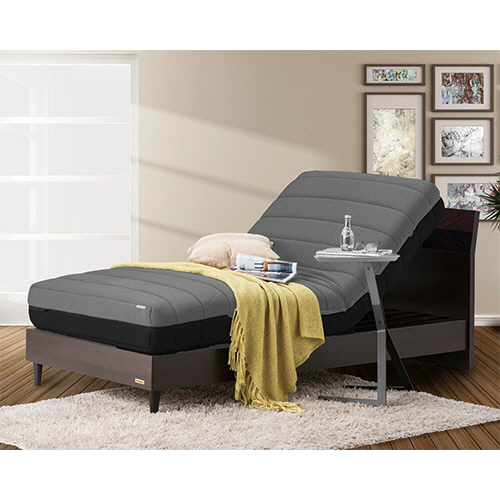 たのめーる】フランスベッド 電動リクライニングマットレス ルーパー