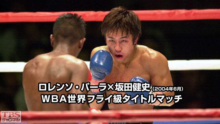 ボクシング WBA世界フライ級タイトルマッチ ロレンソ・パーラ×坂田健史