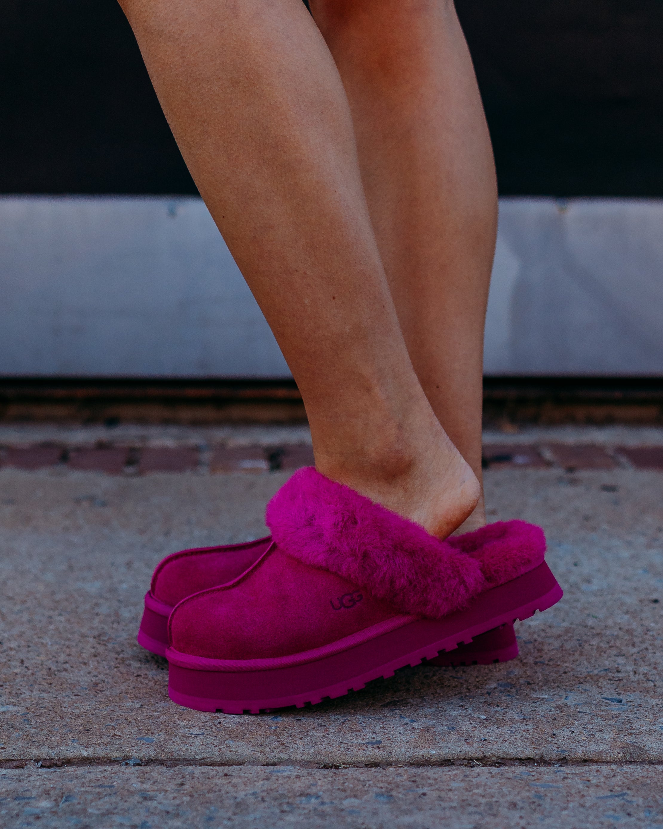 UGG W Disquette in Dark Peony - Fashionable & Cozy Slippers – The