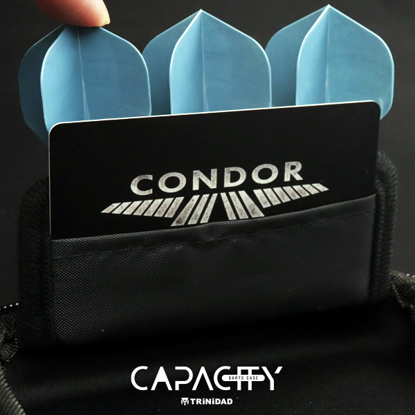 ダーツケース TRiNiDAD CAPACITY トリニダード キャパシティ 無地