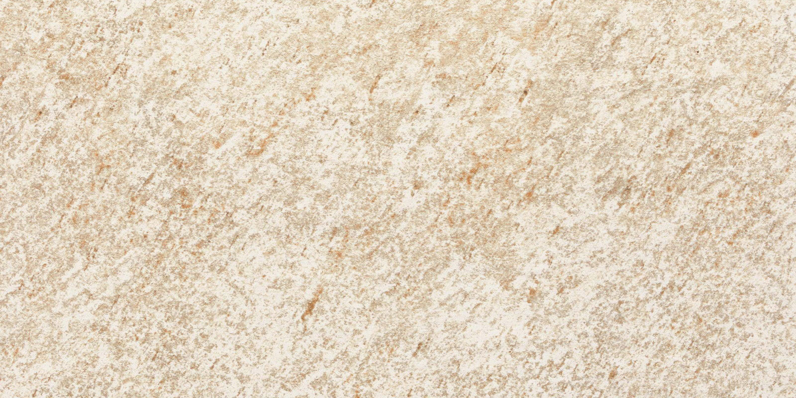 カピバラ　リル もちかぴ Lサイズ ぬいぐるみ カピバラ モリサカグローバル : HONDA