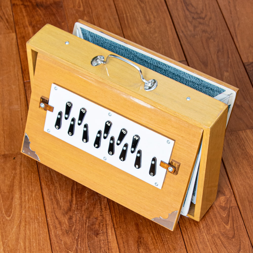 シュルティボックス Shrutibox Kartar Music House社製【ソフトケース