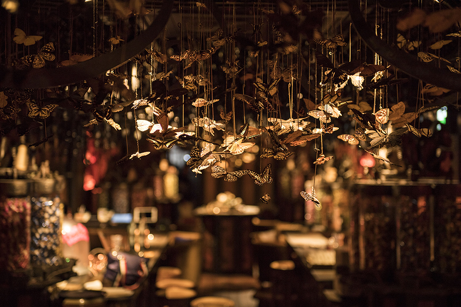 Cafe&Bar Tir na nÓg |銀座にある妖精達の楽園