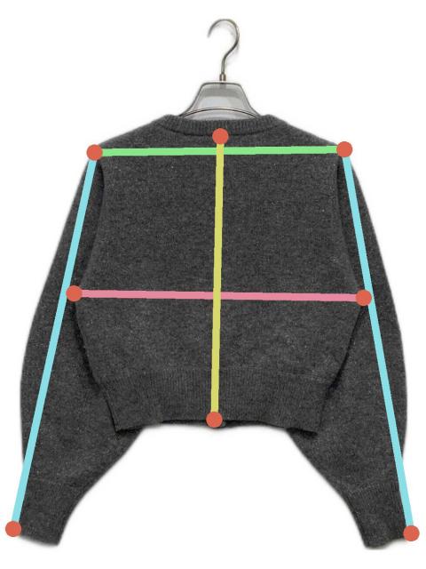 中古・古着通販】LACOSTE (ラコステ) Snidel (スナイデル) ラメニット