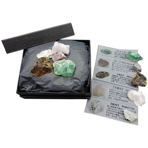 UCHIDASウチダス光る石の不思議な世界（蛍光鉱物セット）: 理科