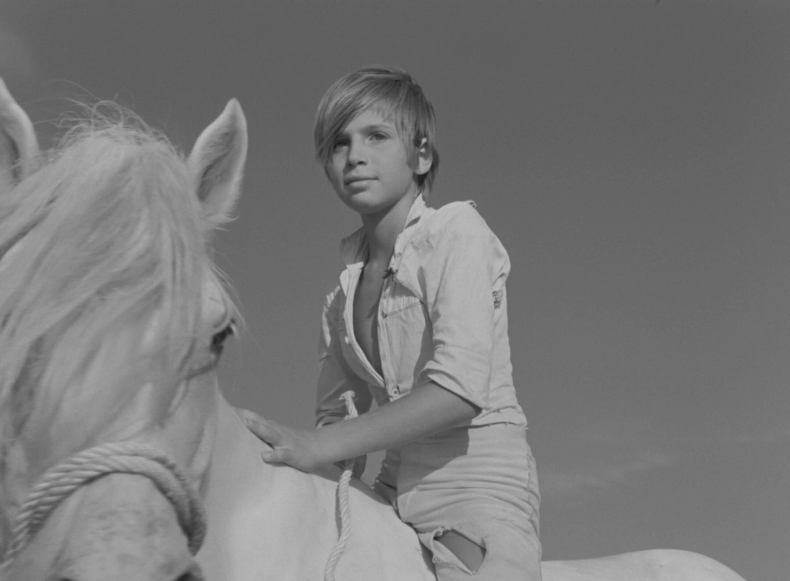 赤い風船 4K』『白い馬 4K』【3/6~12】*「週末こども映画館」「うえだ