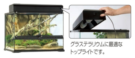 GEX コンパクトトップ 30 1灯式 | 通販