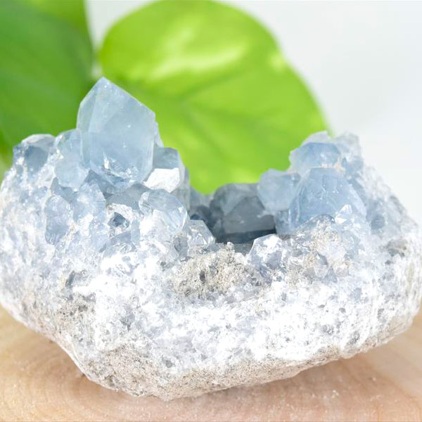 マダガスカル産 セレスタイト クラスター 原石｜天青石｜浄化