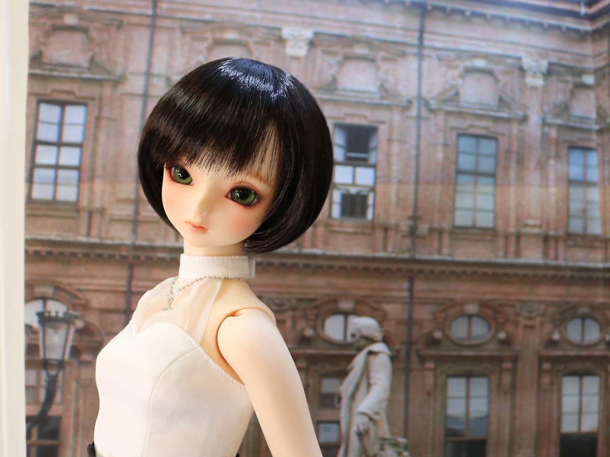 ウィッグチェンジで新たな魅力発見♪ドルフィー用ヘアウィッグのご紹介