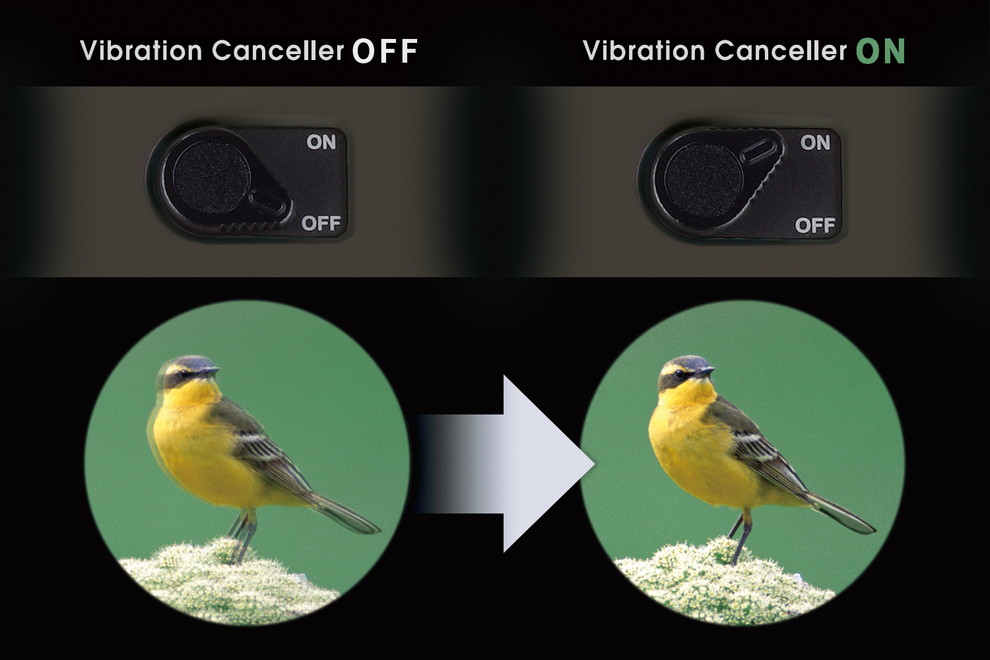 Vixen 双眼鏡 ATERAⅡH10x21(グレージュ) | ビクセン オンラインストア