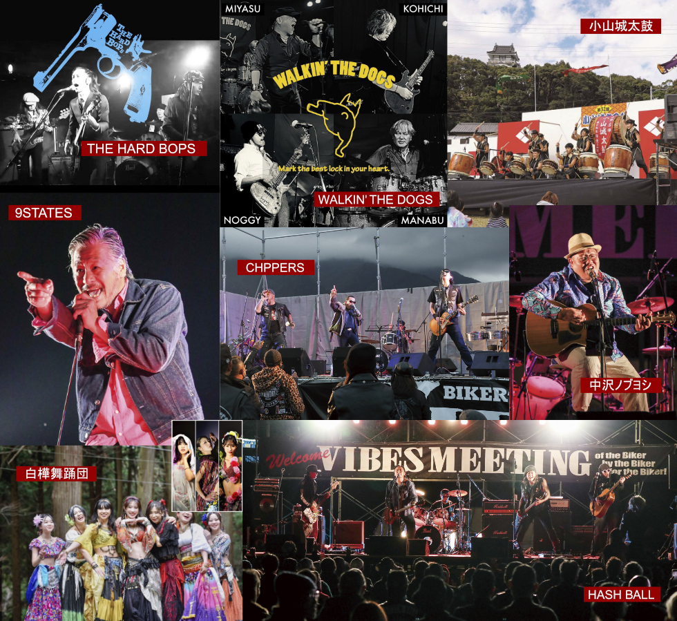 VIBES MEETING SHIZUOKA｜静岡県吉田町 特設会場