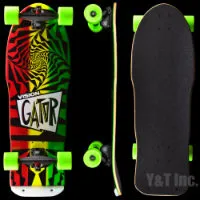 ビジョン・エクストリーム