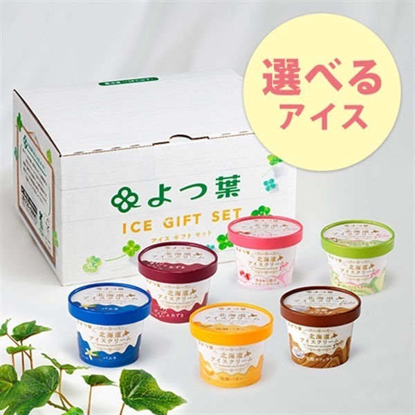 選べる】よつ葉 北海道アイスクリーム6個セット【冷凍便】｜【公式