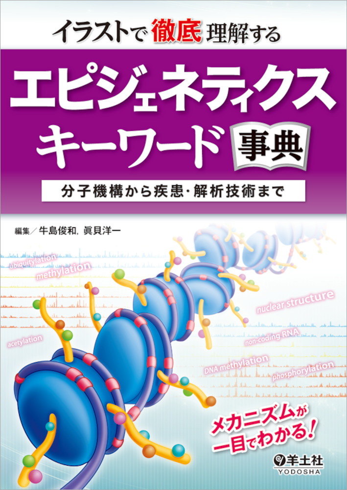 イラストで徹底理解する エピジェネティクスキーワード事典〜分子機構