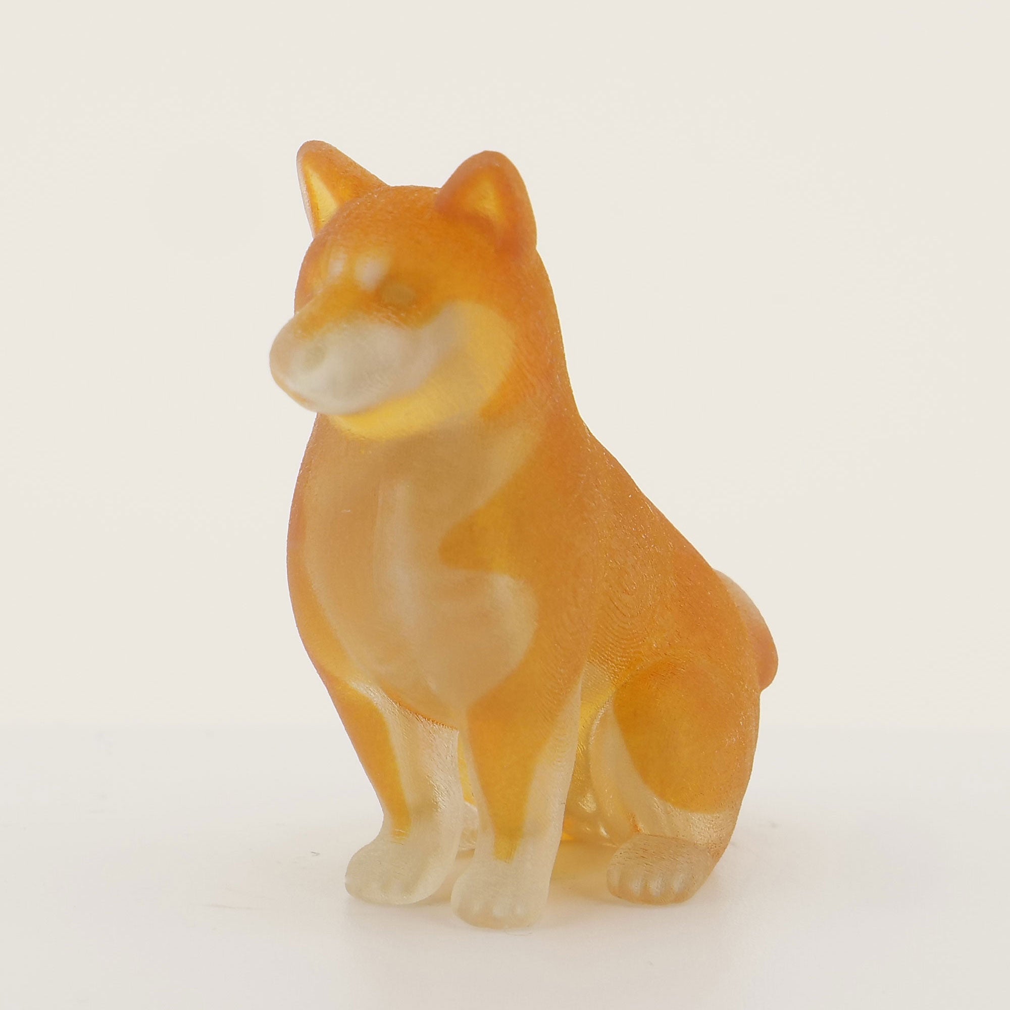 玉骨標本カラー版 – 合同会社吉本アートファクトリー