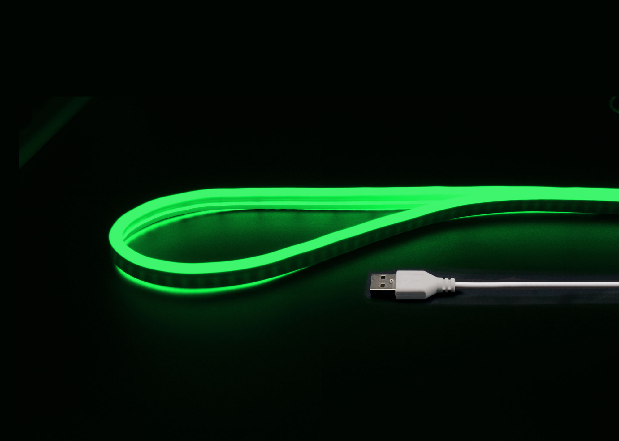 い*ち様 GReeeeN ネオン管 LEDネオンチューブライト グリーン2m