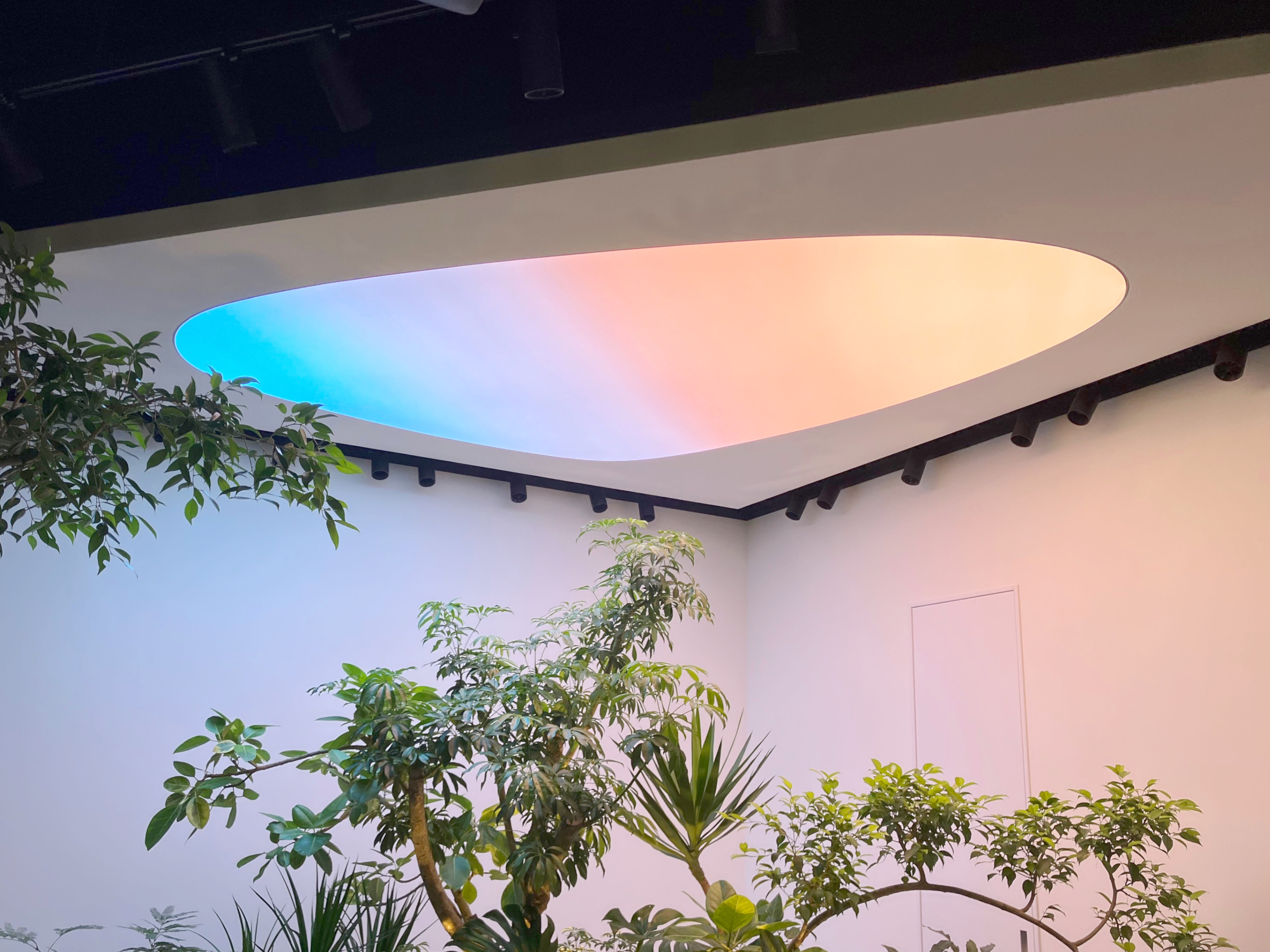 株式会社遠藤照明様 大阪ショールーム | 八木鋼材株式会社の膜・光膜天井