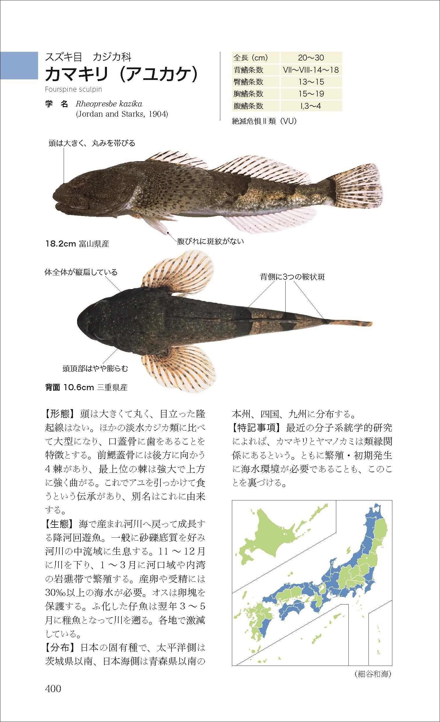 日本の淡水魚図鑑の決定版『山溪ハンディ図鑑 日本の淡水魚』が第4版に