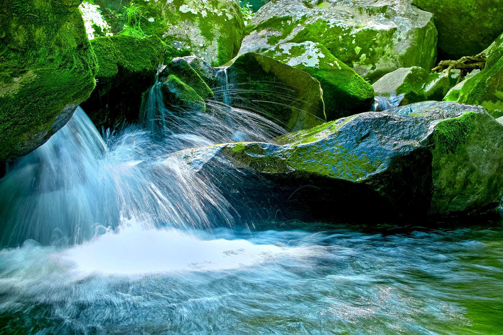 こうじ水 - 糀と味噌の山﨑糀屋 新潟・津川