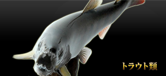 トラウト・サーモン類 愛知県名古屋にある魚類剥製の製作・販売・修理