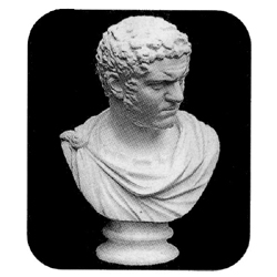 石膏デッサン 胸像 カラカラ帝 | ゆめ画材