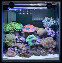 アンダーウォーターLEDスリム｜ゼンスイ株式会社