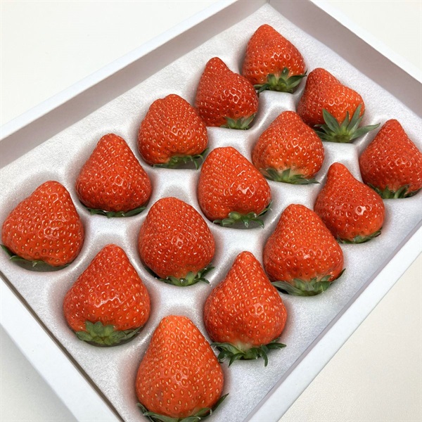 女峰400g 4月上旬発送開始 | 全農食品オンラインショップ