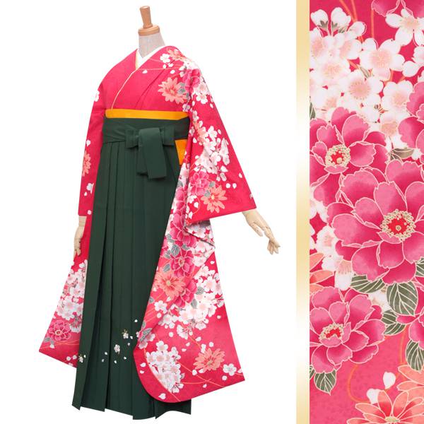 振袖袴： R355 【訳あり】ピンク 桜ブーケ(宅)（R309)│ 袴レンタル