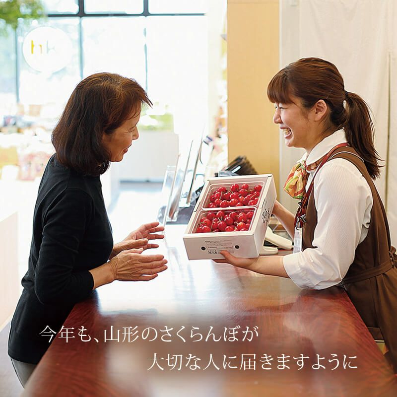 佐藤錦のさくらんぼちゃん 山形さくらんぼおすそ分けカップ入り｜清川屋
