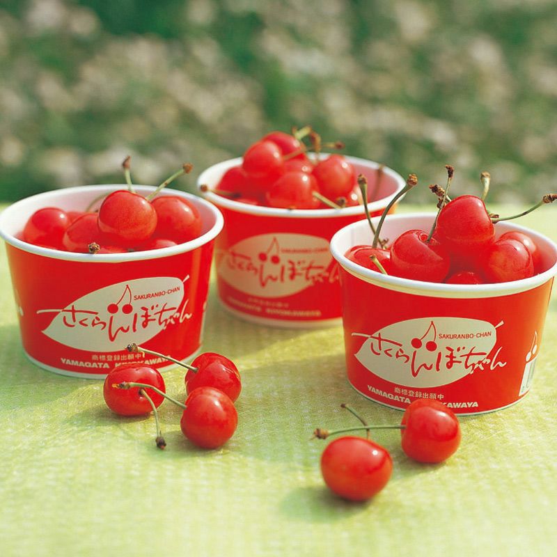 佐藤錦のさくらんぼちゃん 山形さくらんぼおすそ分けカップ入り｜清川屋