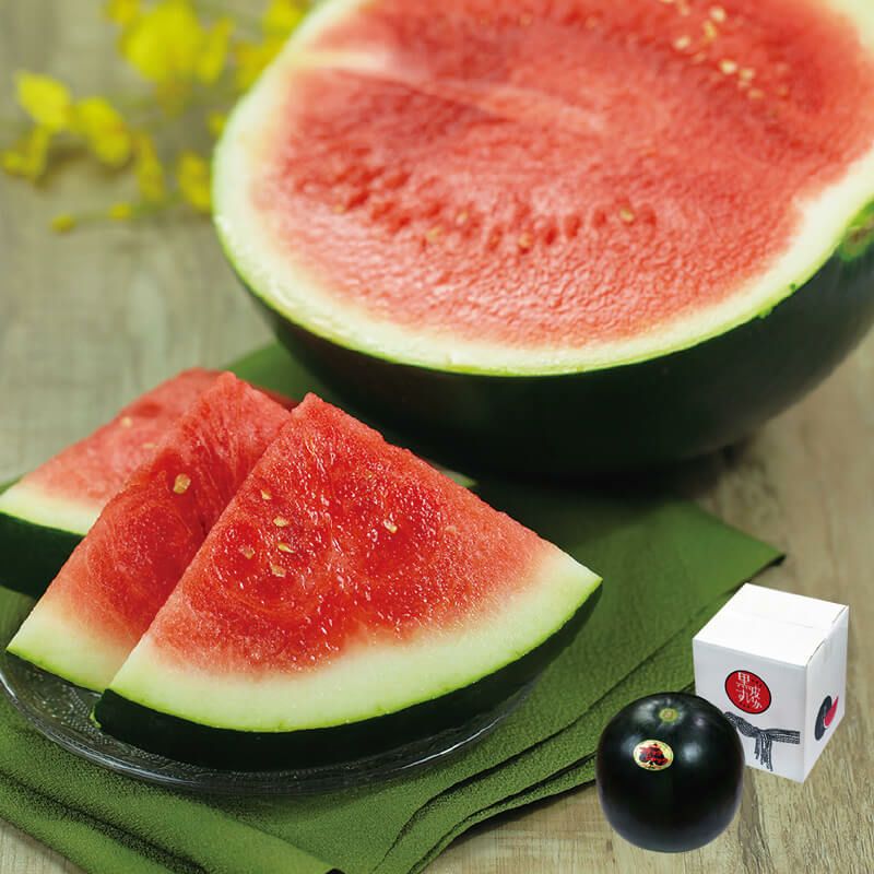 ブラックジャック 真っ黒な黒皮が特徴の山形・夏スイカ｜清川屋