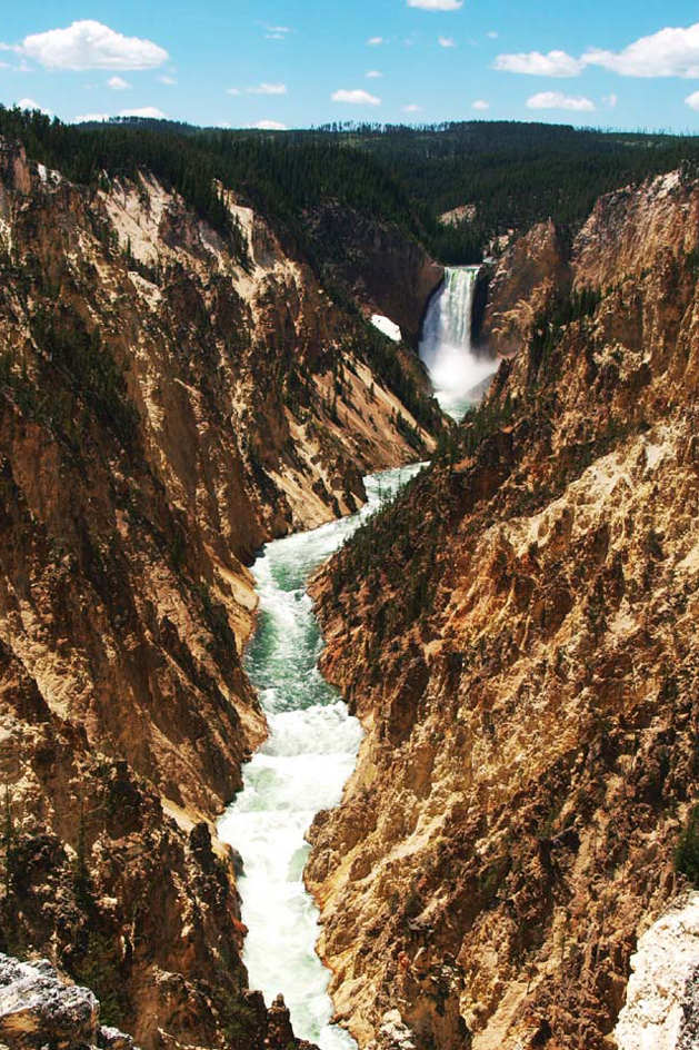 イエローストーン国立公園 写真ギャラリー｜Yellowstone Horisonz
