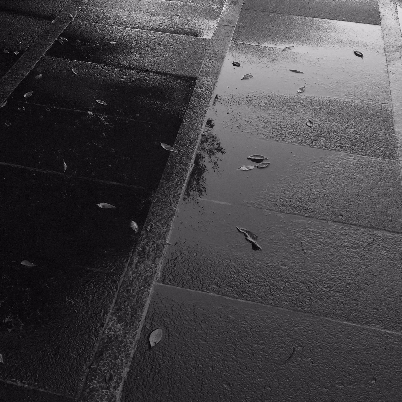 ゼラチンシルバープリント | 写真と文具