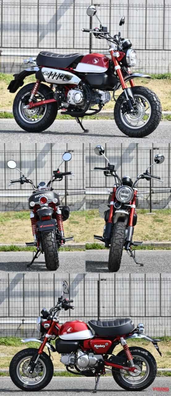2018モンキー125の赤×白を撮影│WEBヤングマシン｜新車バイクニュース