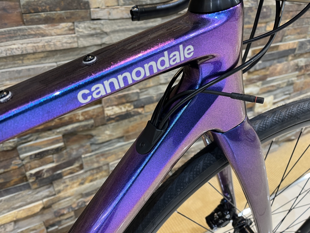 決算セール】スマートセンス搭載のフルカーボンロードバイクが限定一台