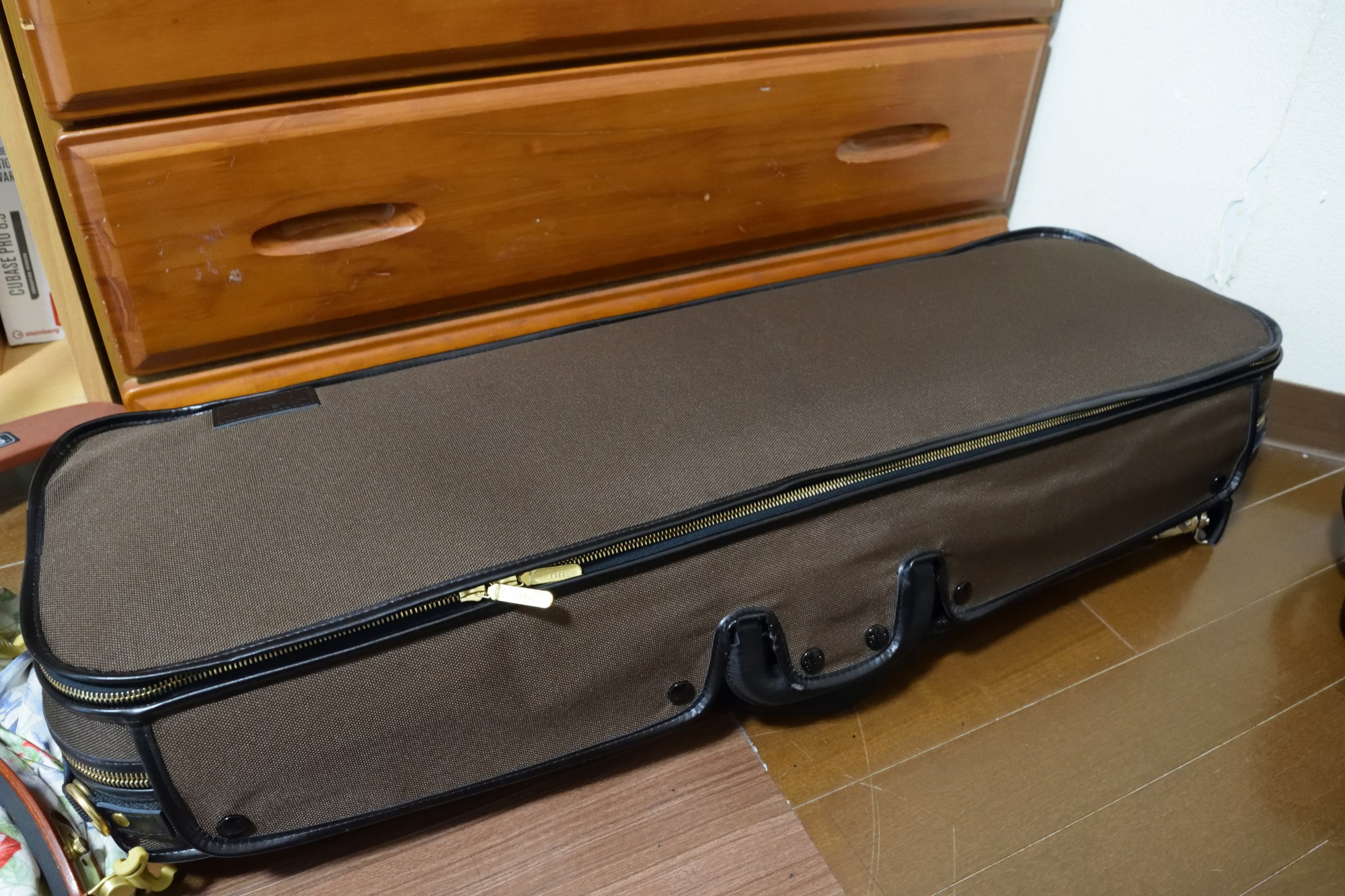 新しいヴァイオリンケースを買いました！GEWA Original Jaeger│Hybrid
