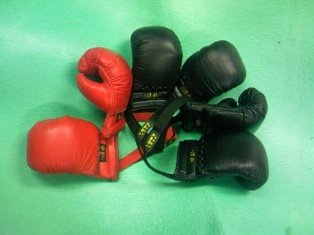 渭水拳友会の徳大式防具