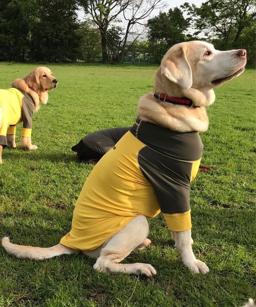 GREEN BOWL（グリーンボウル） 犬 服 「GREEN BOWL」オリジナル