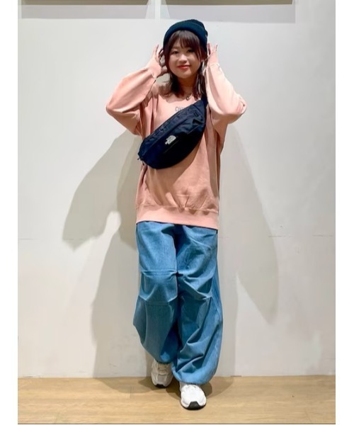 THE NORTH FACE（ザ ノースフェイス） ウエストポーチ 「THE NORTH