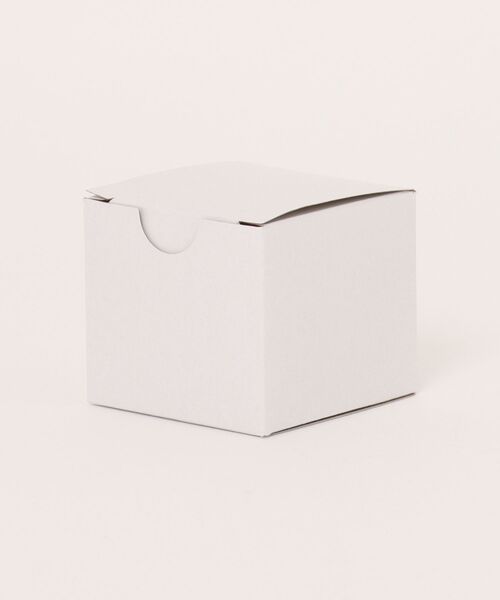 DIESEL（ディーゼル） ピアス アクセサリー メンズ ピアス シルバー