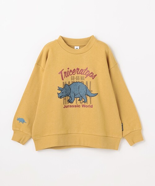 ANY（エニィ） トレーナー 恐竜プリント 裏毛トレーナー キッズ 子供服