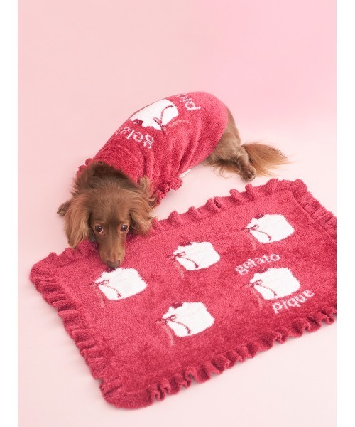 gelato pique（ジェラートピケ） 犬 服 「CAT＆DOG」オータムケーキ