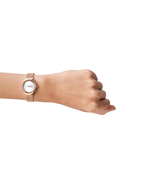 SKAGEN（スカーゲン） 腕時計 腕時計 レディース アナログ ステンレス