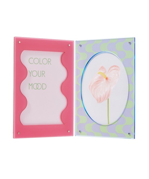 Francfranc（フランフラン） 写真立て カラフルアクリルフレーム 2面