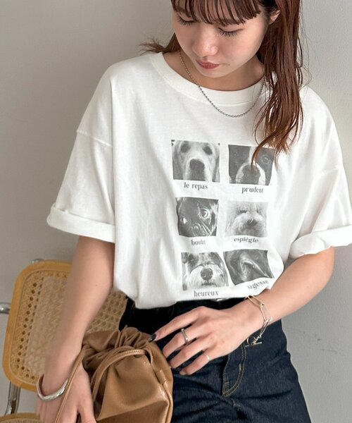 Discoat（ディスコート） tシャツ 「ユニセックス」アソートアニマル