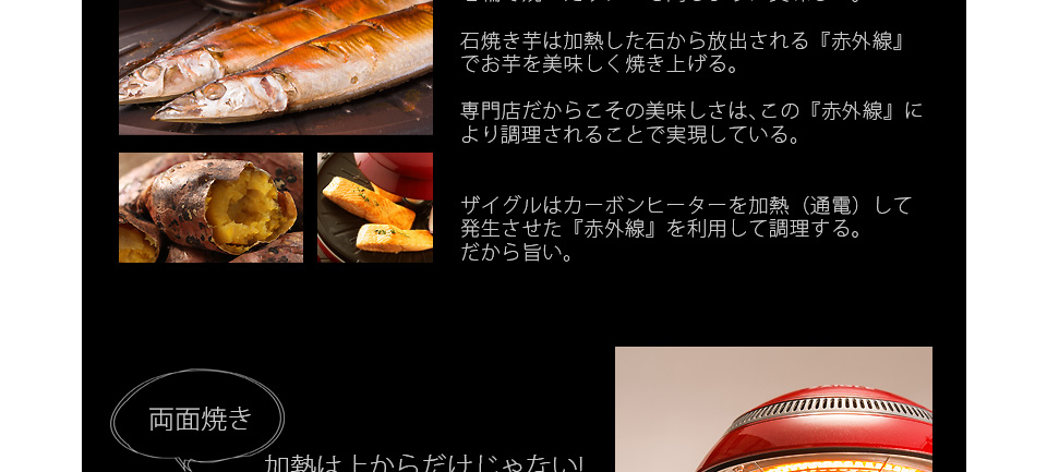 ザイグルプラス製品詳細 ザイグル公式サイト