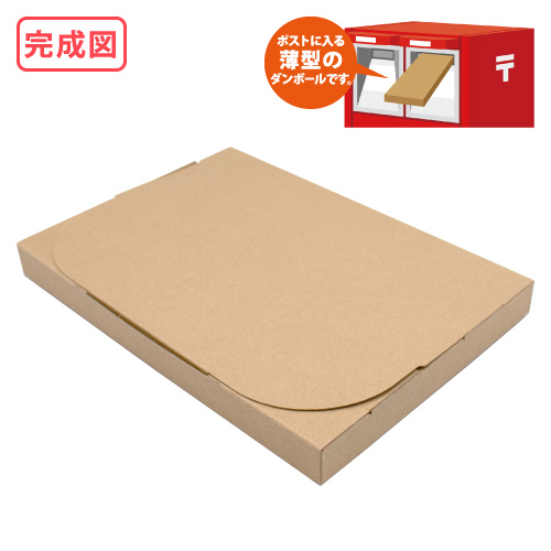 ZAP 差込み式メール便ケース ネコポス・ゆうパケットA5サイズ 【厚み