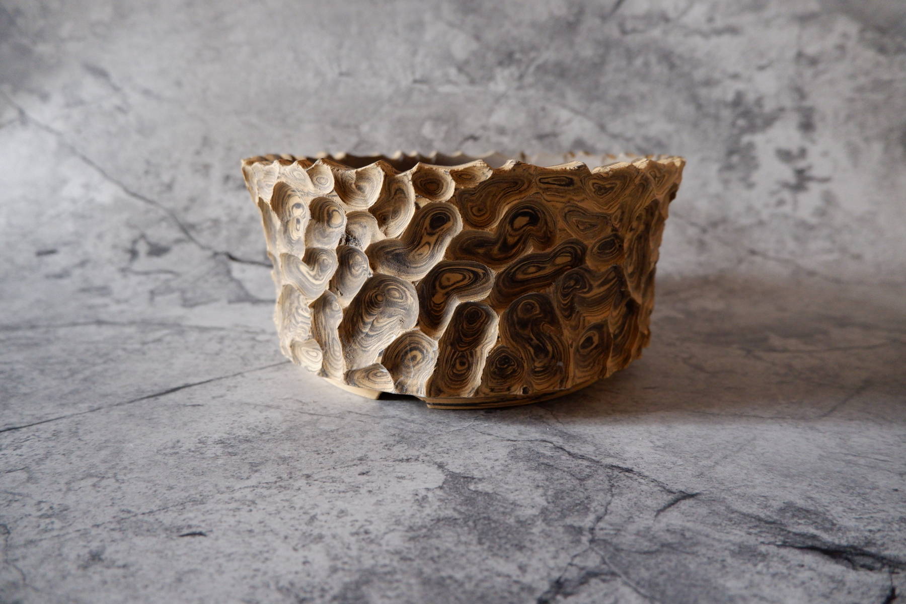 7号黄黒練込み平鉢395 塊根植物 多肉植物 アガベ 盆栽 植木鉢 作家鉢