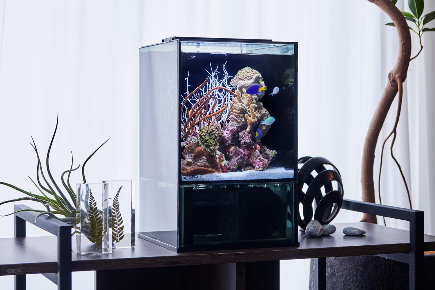 アクアリストたちを魅了する。Good Designを受賞した革新的な水槽とは